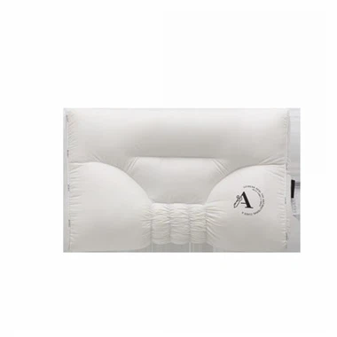 Hotel Bantal Fungsian